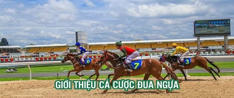 Cách Chơi Cá Cược Đua Ngựa Tại Asia99: Hướng Dẫn Chi Tiết